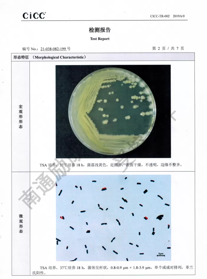 certified by the China Industrial Microbial Culture Collection Center certified by the China Industrial Microbial Culture Collection Center